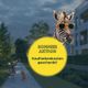 Wohnobjekt: Meinraum München West, Wohneinheit: Beeindruckende 2- oder 3-Zimmer-Maisonettewohnung mit 2 Balkonen - flexibel wie noch nie