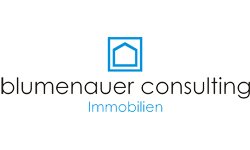 Blumenauer Consulting GmbH & CO. KG