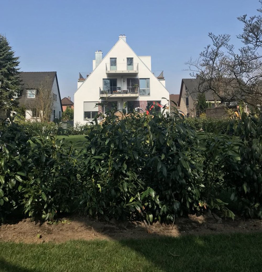 Heublink 93 HamburgHummelsbüttel Neubau Eigentumswohnung kaufen