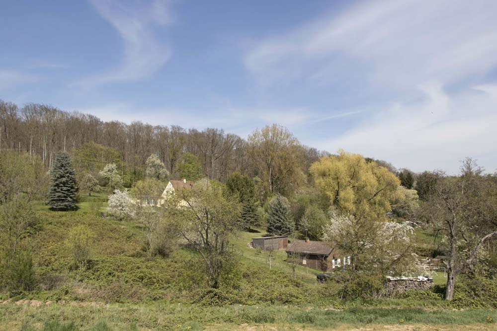 Stumpenhof Plochingen Plochingen Neubau Doppelhaushälfte kaufen