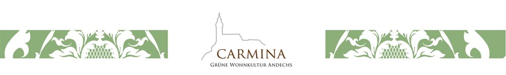 Bilder Neubauprojekt CARMINA - Andechs