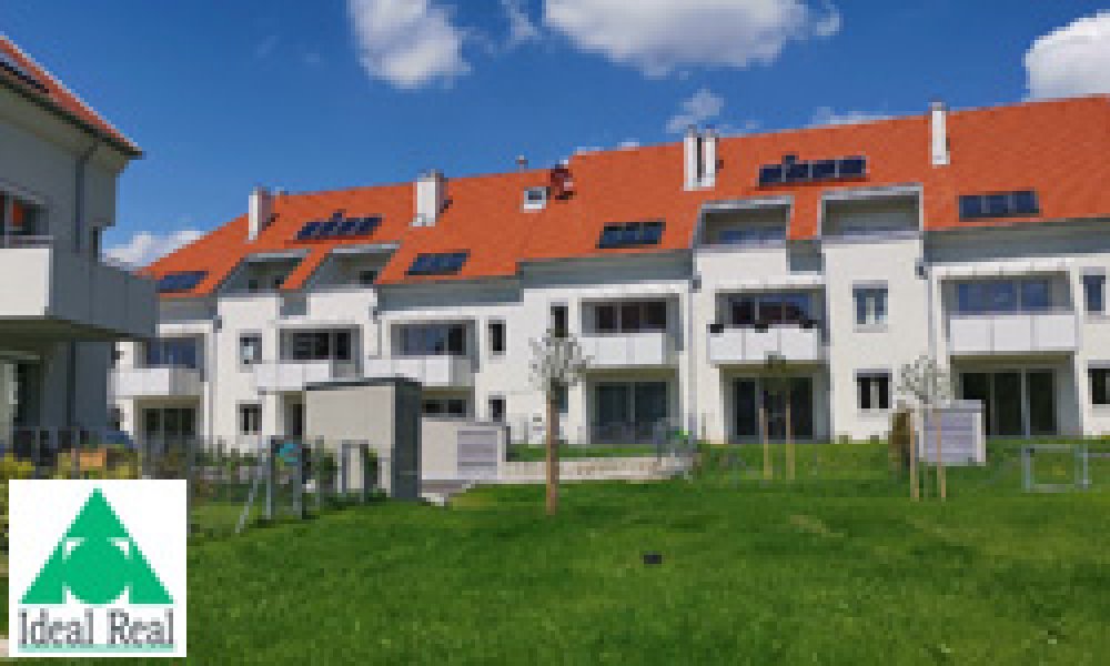 Schulstraße - Johann Kurz Gasse | Neubau von 33 Eigentumswohnungen