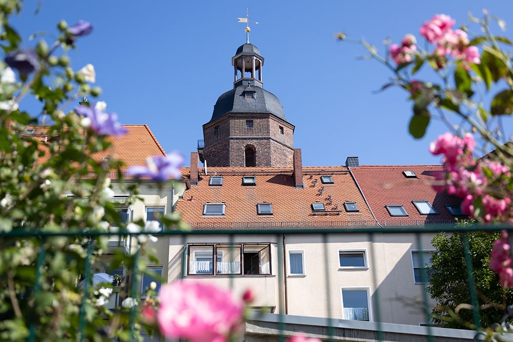 Marktgärten Eilenburg Neubau Reihenhaus kaufen