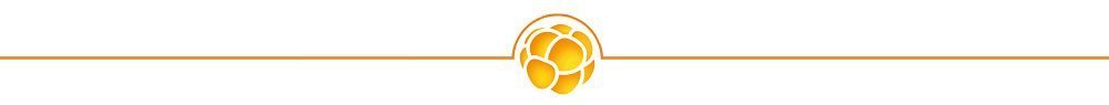 Logo Cloudberry