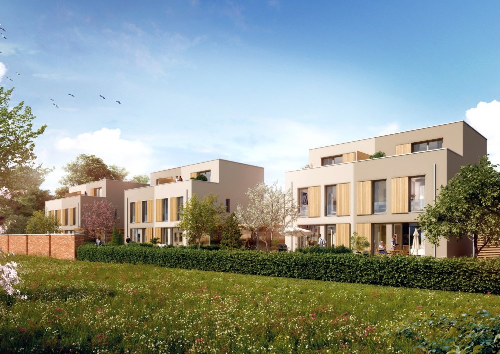 Bild Neubau Häuser Angelsachsenweg Wiegandweg Münster