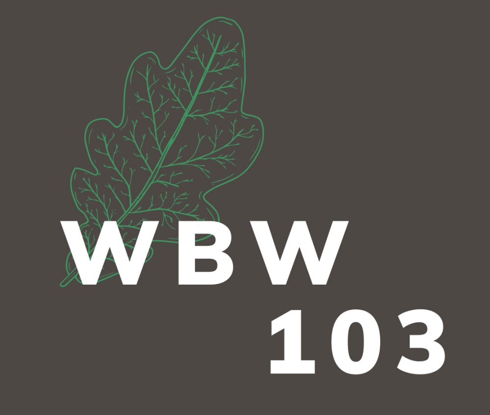 Logo Neubauprojekt Wellingsbüttler Weg 103, Hamburg