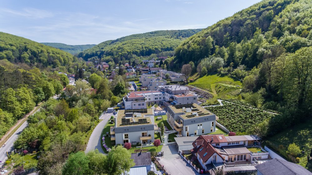 Bilder Neubauprojekt Zwei beim Kirschbaum, Wien