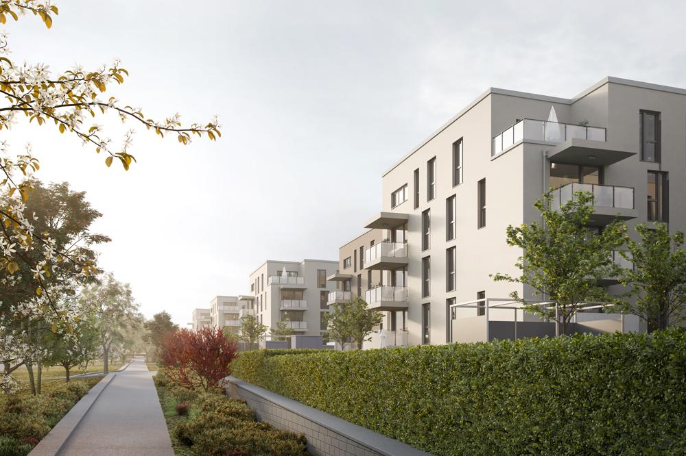 3 Zimmer Wohnung Köln Und Umgebung